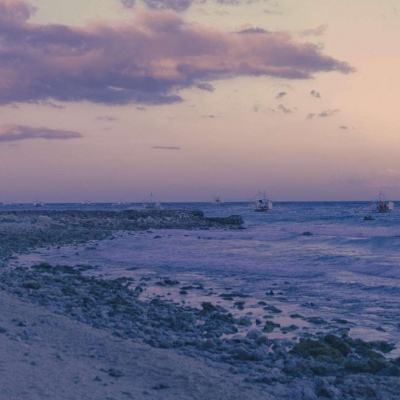 熊猫娱乐appapp下载