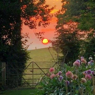 博鱼app手机app下载